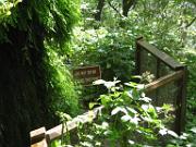 Tonto Natural Bridge 021